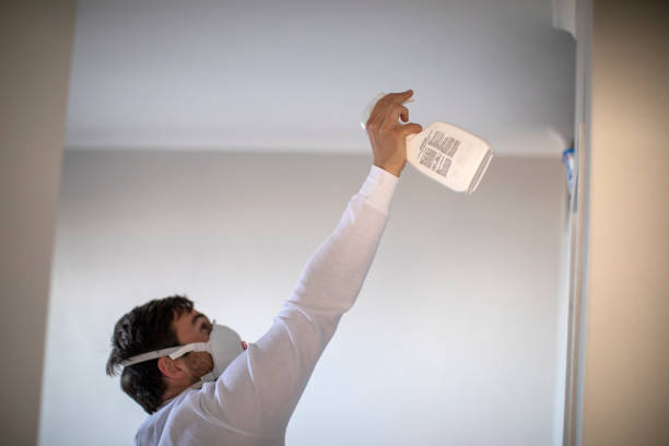 Best Black Mold Removal  in Mccullom Lake, IL