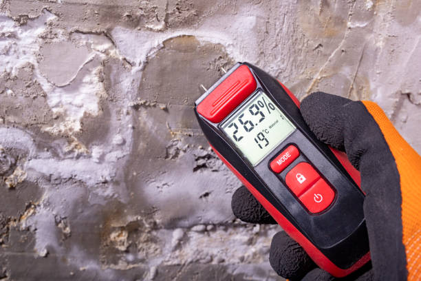Best Toxic Mold Removal  in Mccullom Lake, IL