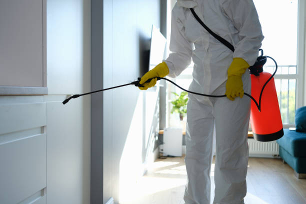 Office Mold Removal Services in Mccullom Lake, IL