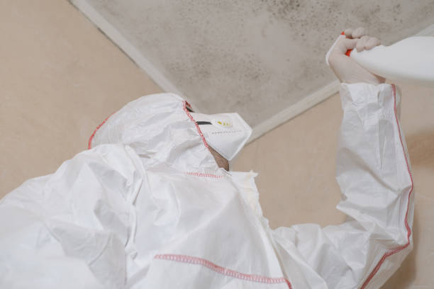 Best Black Mold Removal  in Mccullom Lake, IL